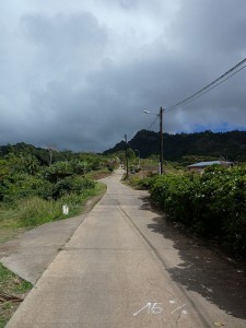 auf der Wanderung