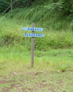 Wanderung - Hanavave ist unser Ziel