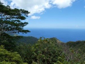 Wanderung - noch ist die Aranui 5 in Omoa