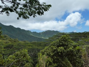 Wanderung - Berge in Wolken