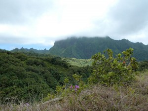 Wanderung - Berge in Wolken