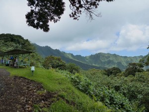 Wanderung - Picknick mit Aussicht