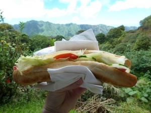 Wanderung - Sandwich mit Aussicht