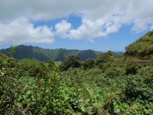Wanderung - Picknick mit Aussicht