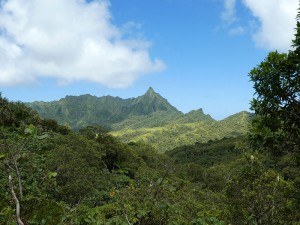 Wanderung - Abstieg