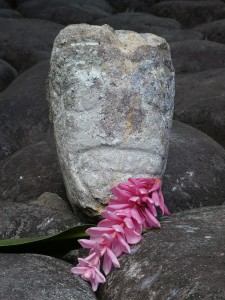 Tikikopf