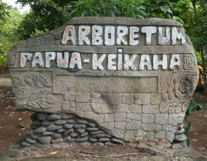 Arboretum Papua-Keikaha