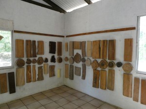 Holzmuseum