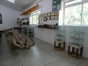 Musée de la Mer