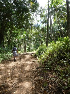Wanderung zum Me´ae Mei Aute