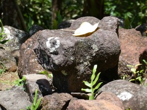 Wanderung zum Me´ae Mei Aute