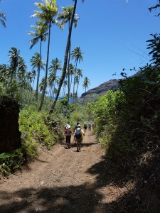 Wanderung zum Me´ae Mei Aute