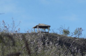 das ist das Ziel oben am Bergkamm
