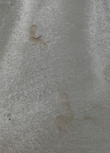nicht meine Spuren im Sand