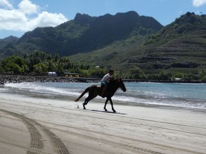 im Galopp über den Strand