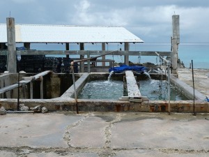 Perlenfarm