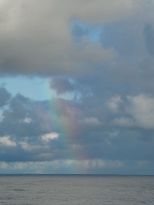 Regenbogen