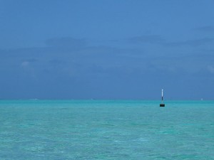 Fahrt durch die Lagune