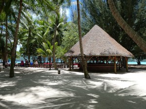 Picknick-Bereich