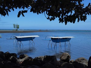 Pointe Venus
