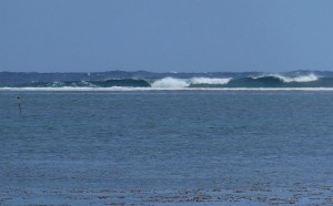 die Welle