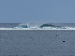 die Welle