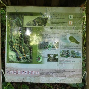 Jardins d´eau de Vaipahi
