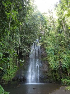 Jardins d´eau de Vaipahi