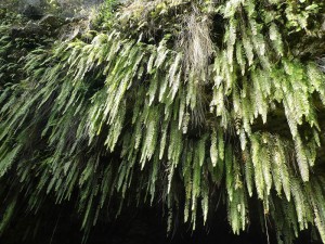 Grotte Vaipoiri