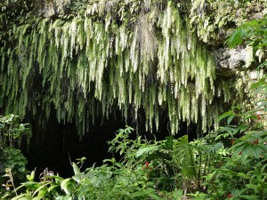 Grotte Vaipoiri