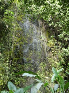 Grotte Mata Va´a