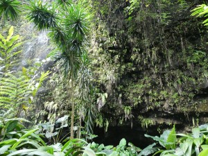 Grotte Mata Va´a