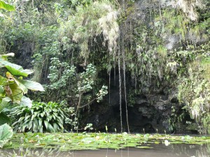 Grotte Teanateatea