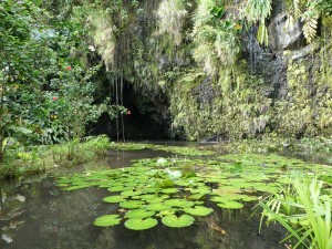 Grotte Teanateatea
