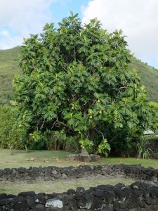 Marae Ta´ata