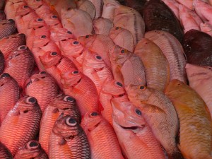 Marché Municipale
