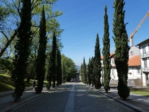 Allee