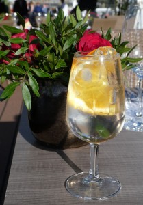 weißer Port-Tonic