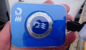Ocean Medallion