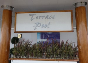 Terrace Pool