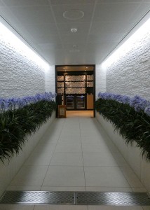 The Enclave