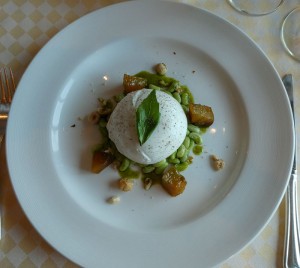 Burrata
