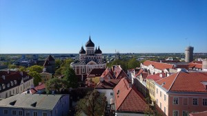 Aussicht vom Turm