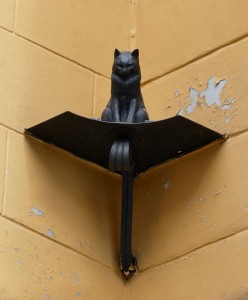 "Hauskatze"