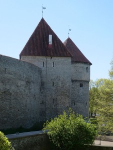 Stadtmauer am Domberg