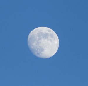 fast Vollmond