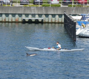 Delfin Schwenteeny