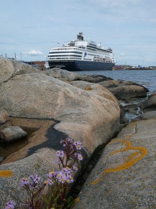 Vasco da Gama in Göteborg