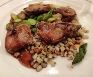 Roast Breasts of Squab Pigeon