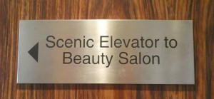 Scenic Elevator